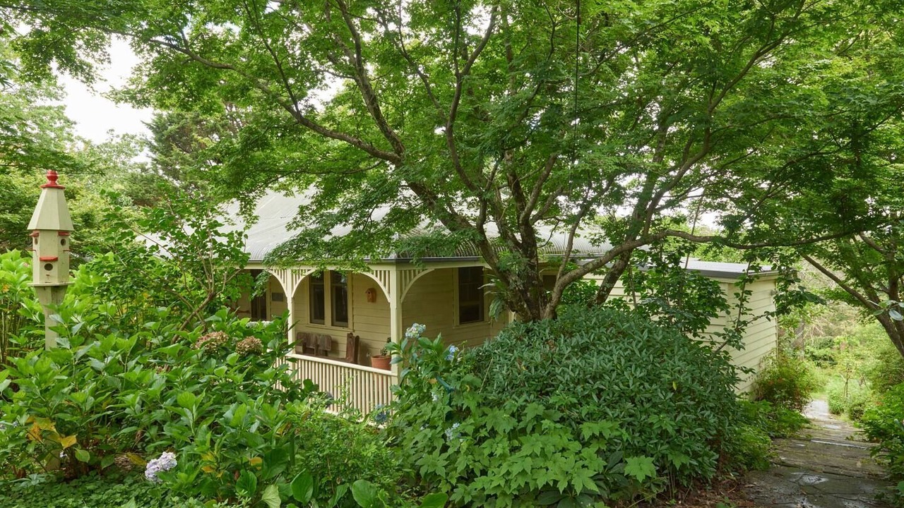 Photo of Outdoor in Hazelbrook