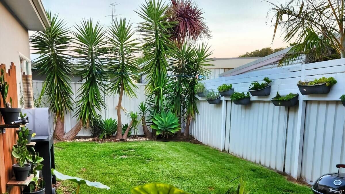 Photo of Outdoor in Pelican