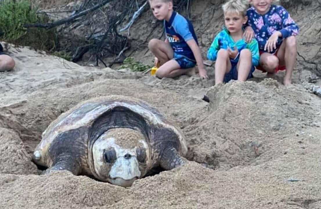 Photo of Outdoor in Rules Beach