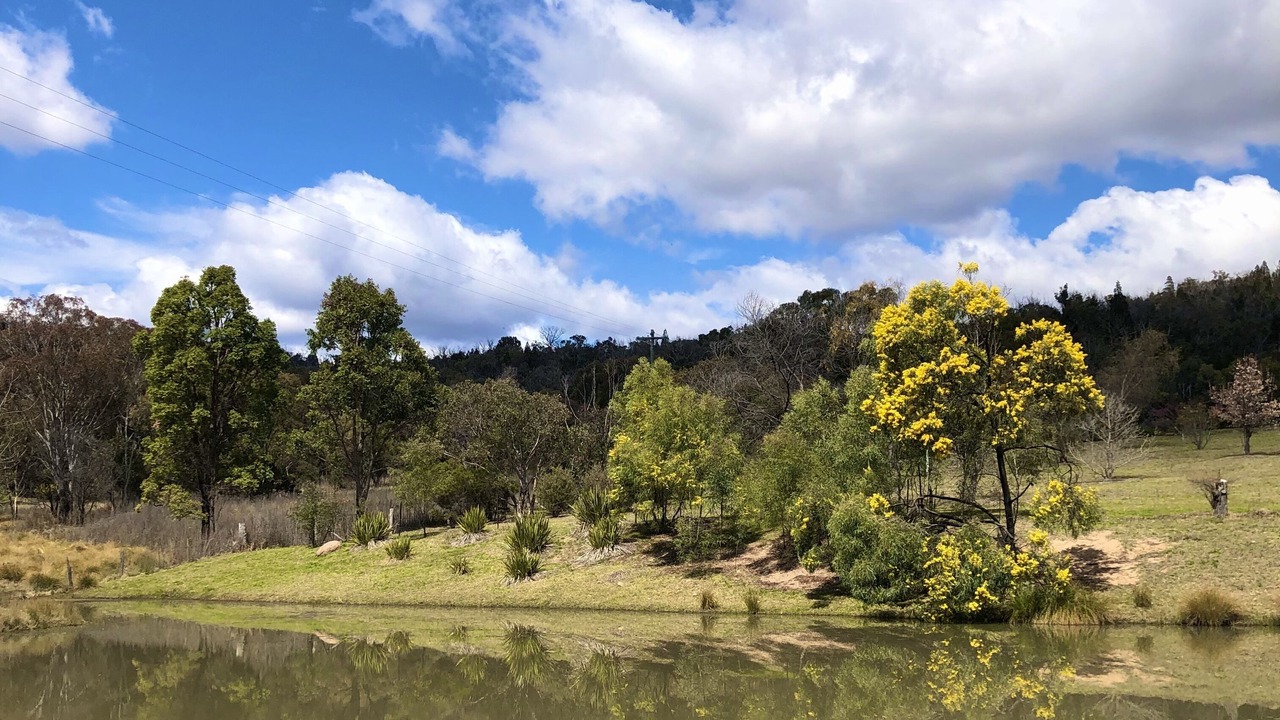 Photo of Outdoor in Wyberba