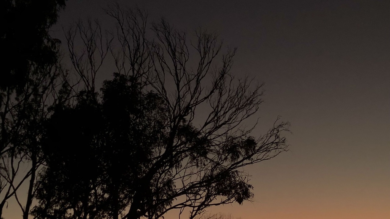 Photo of Outdoor in Wyberba