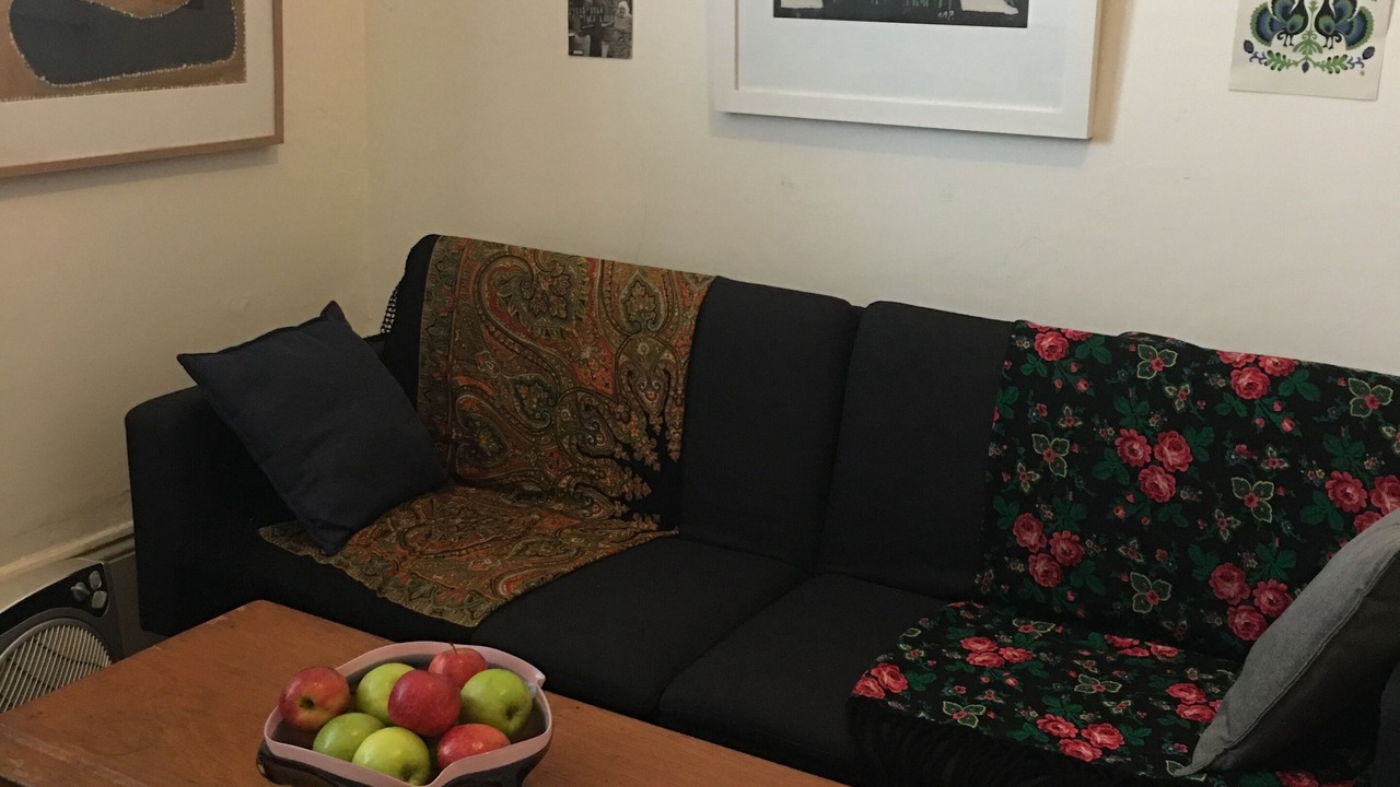 Photo of Livingroom in Glebe