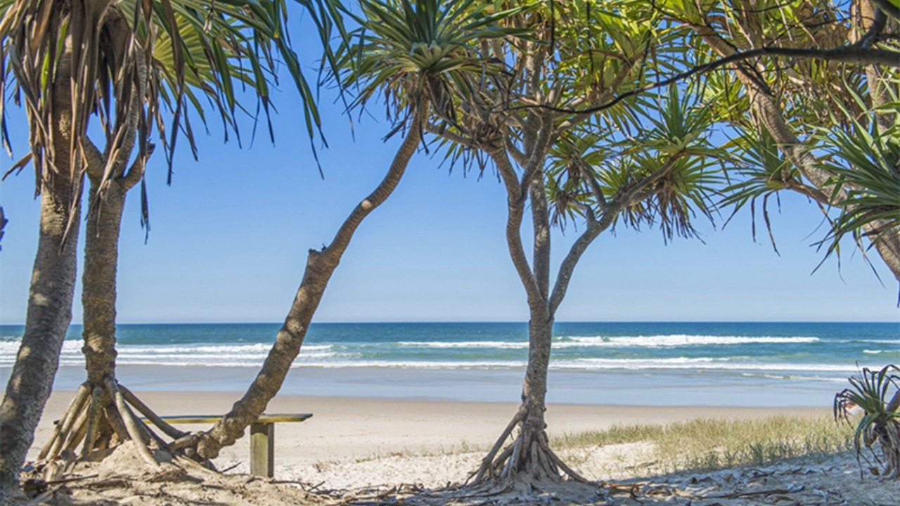 Photo of Others in Brunswick Heads