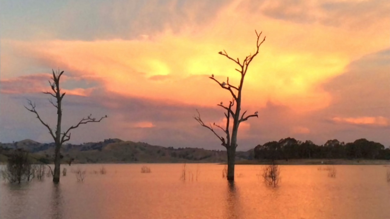 Photo of Others in Bonnie Doon