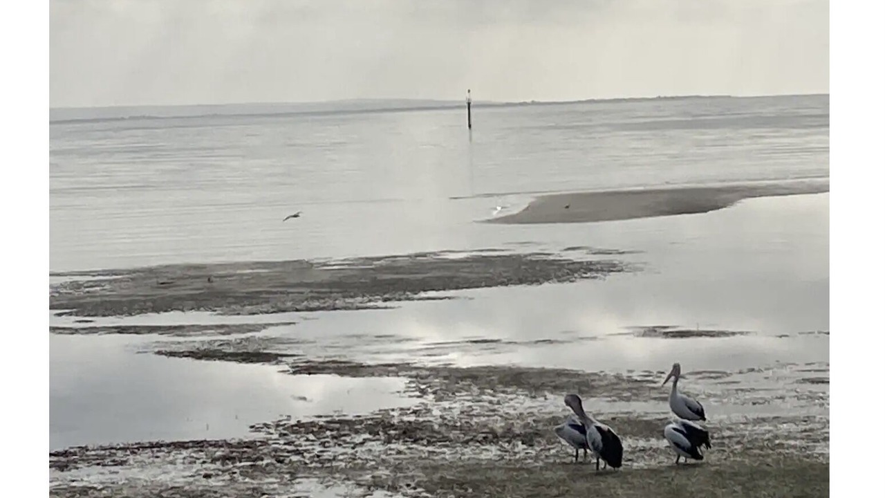 Photo of Others in Tumby Bay