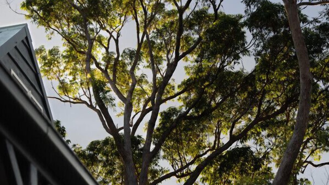 Photo of Others in Huskisson