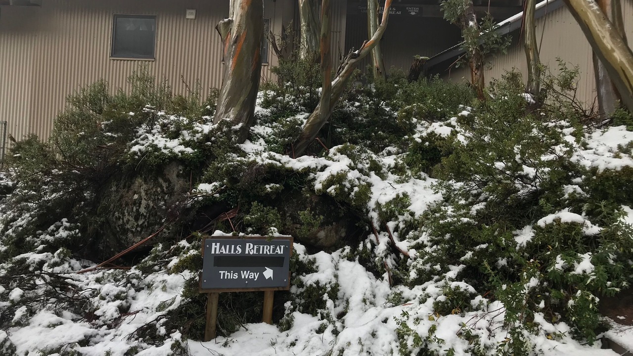 Photo of Outdoor in Baw Baw Village