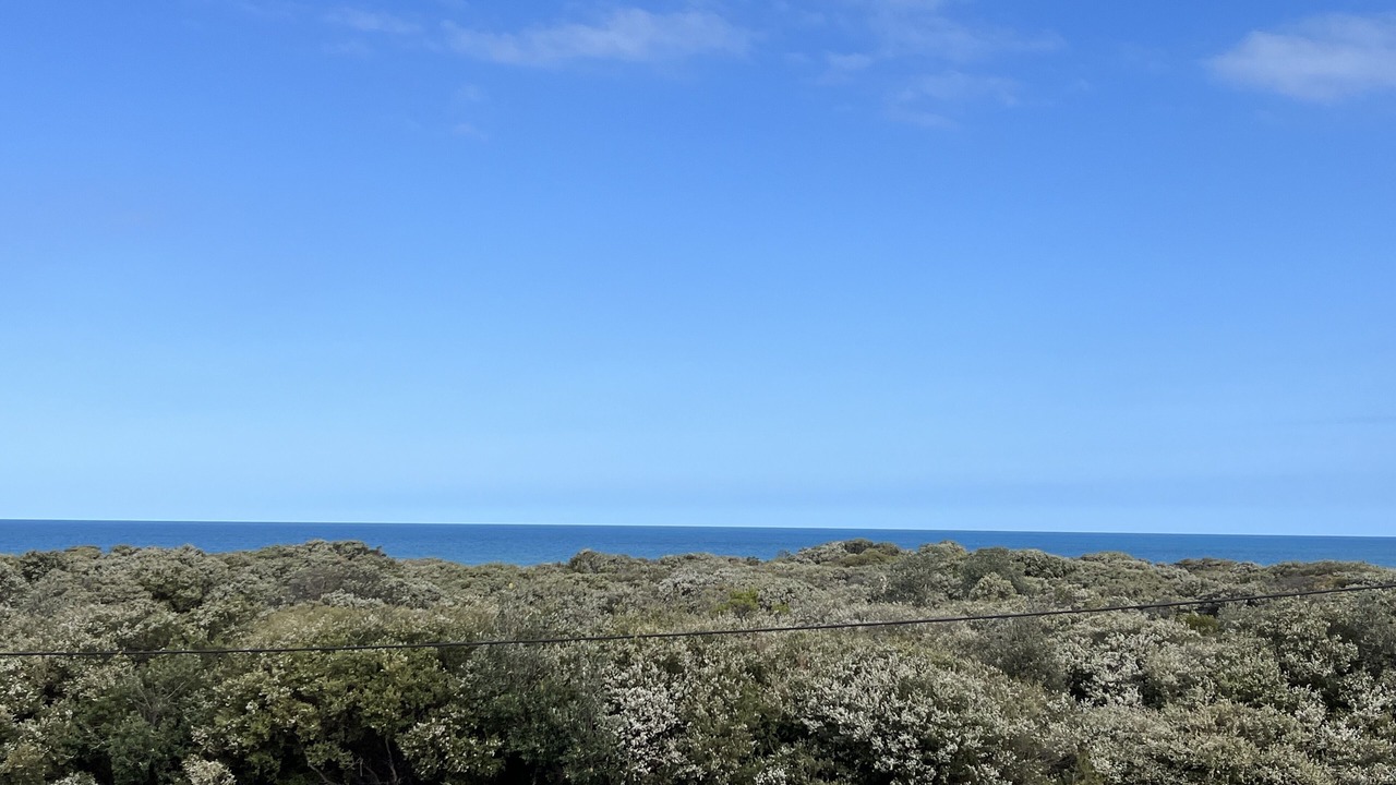 Photo of Others in Paradise Beach
