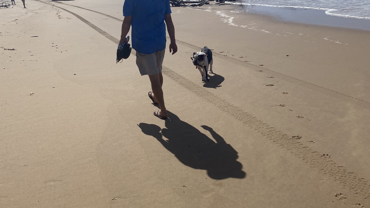 Photo of Others in Rules Beach