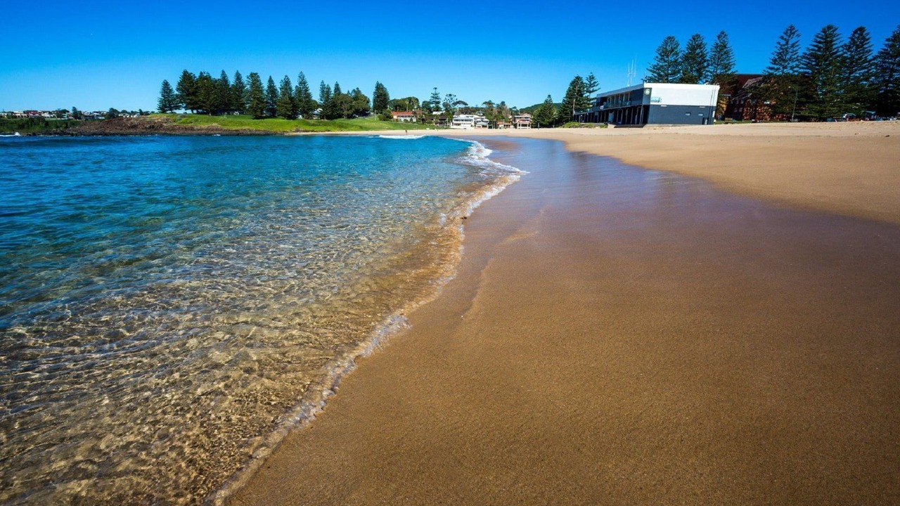 Photo of Others in Kiama Heights