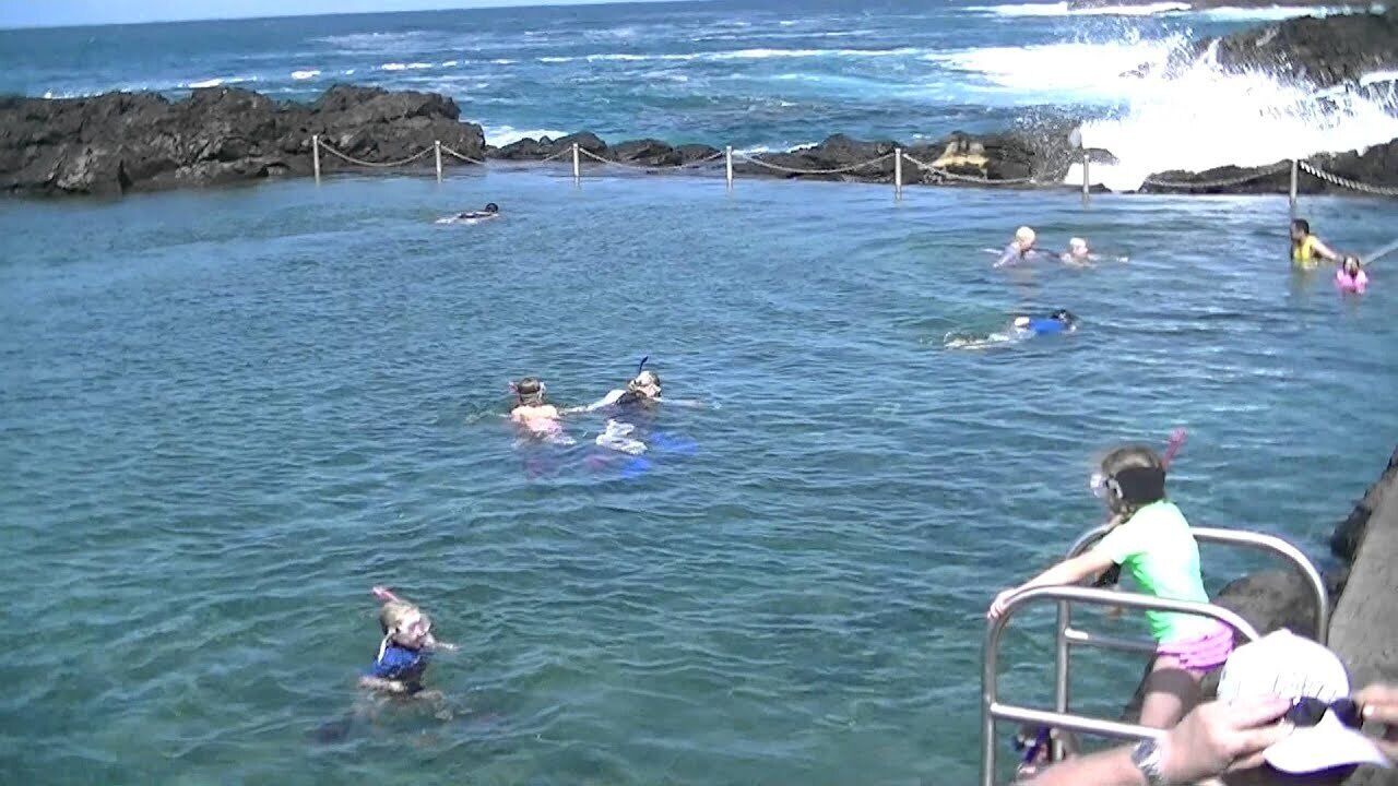 Photo of Others in Kiama Heights