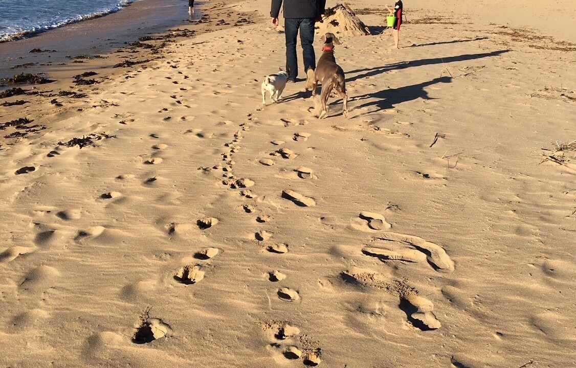 Photo of Others in Kiama Heights