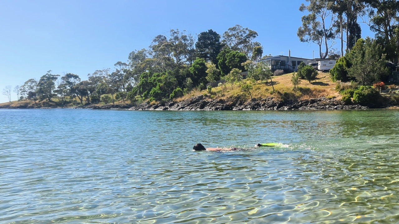 Photo of Others in Surveyors Bay