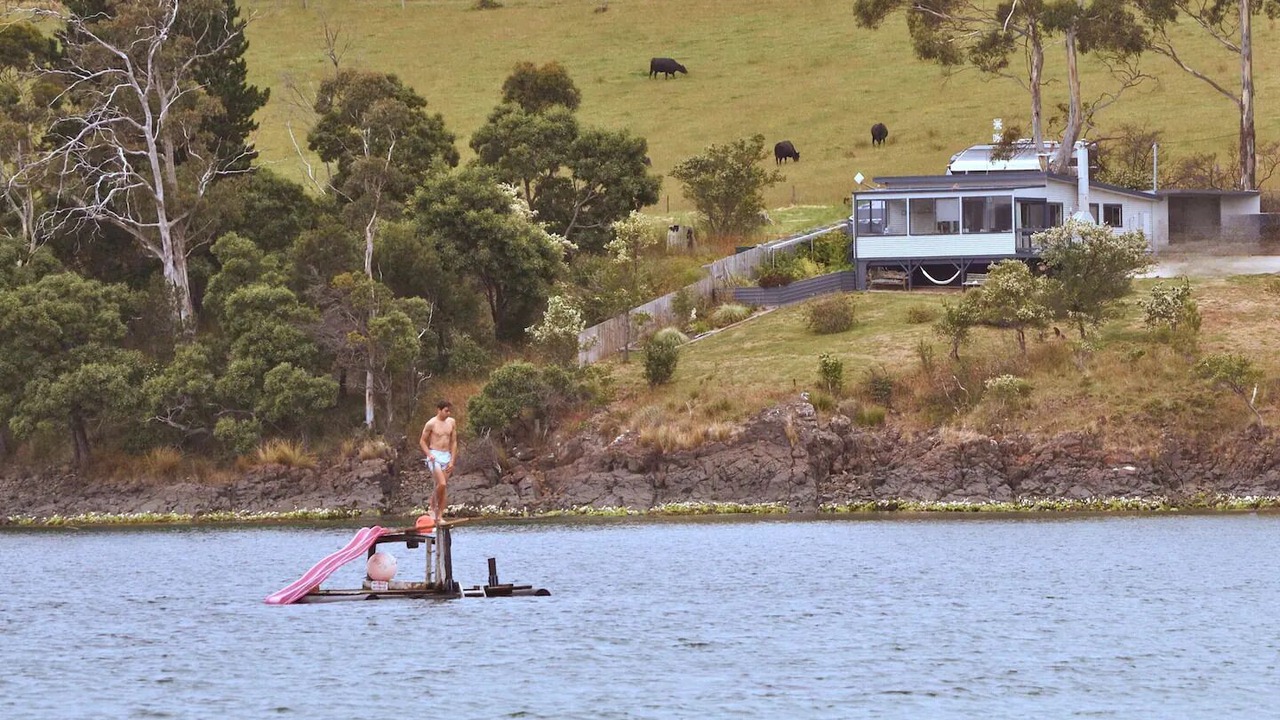 Photo of Others in Surveyors Bay