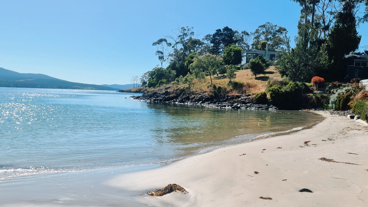 Photo of Others in Surveyors Bay
