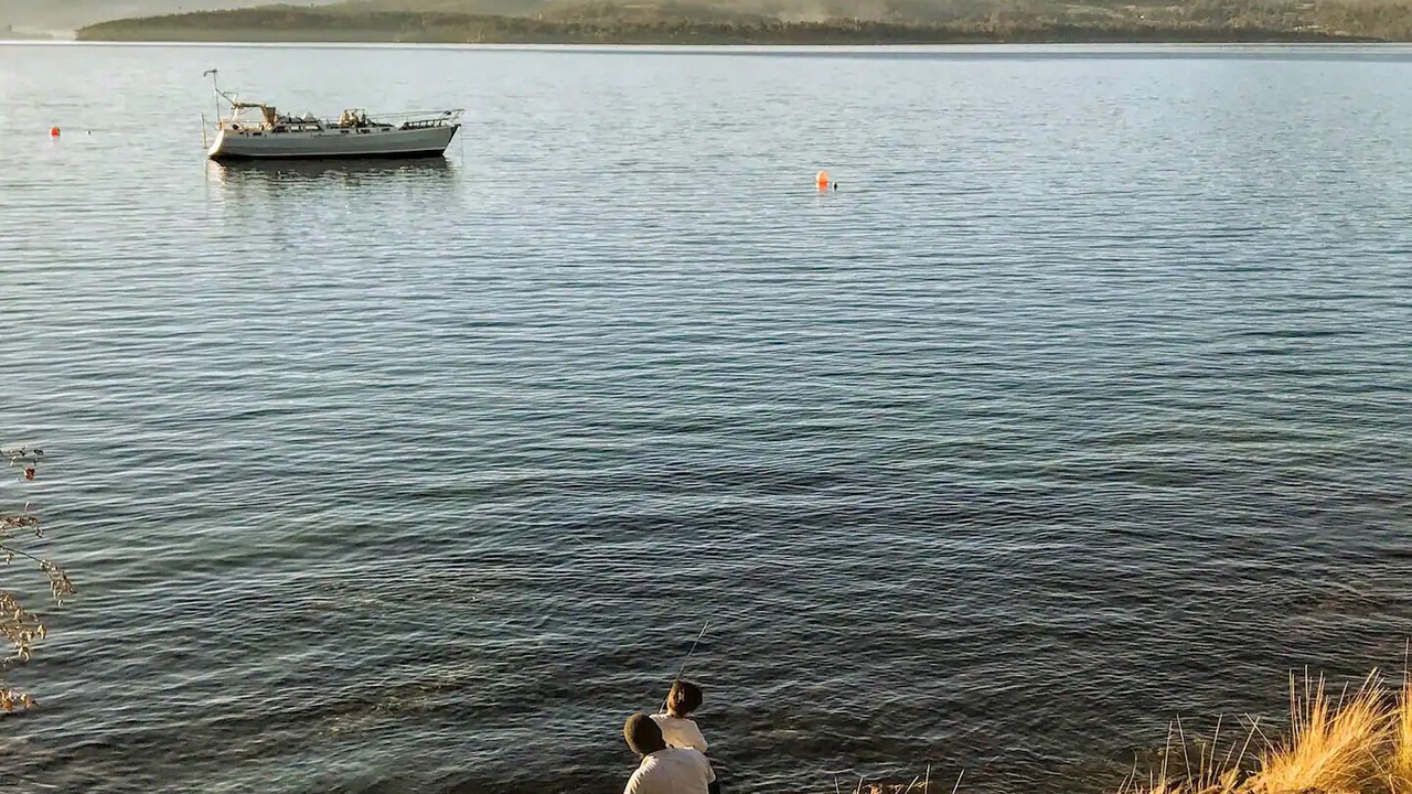 Photo of Others in Surveyors Bay