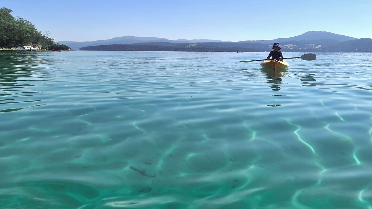 Photo of Others in Surveyors Bay