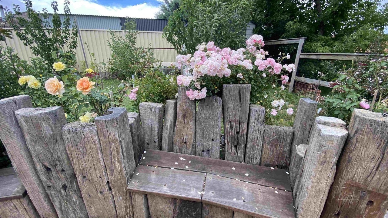 Photo of Outdoor in Jindabyne