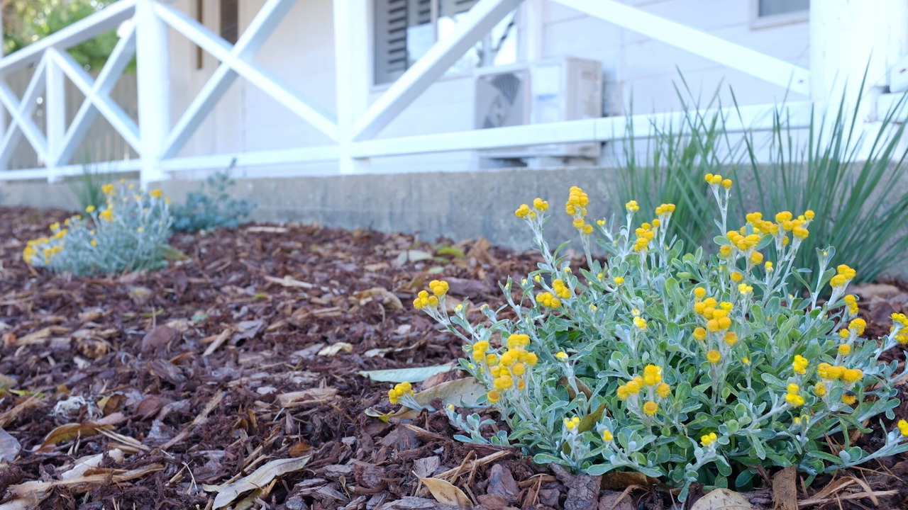 Photo of Outdoor in Falcon