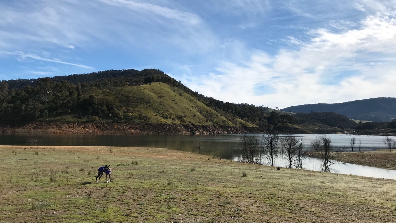 Photo of Outdoor in Howqua Inlet