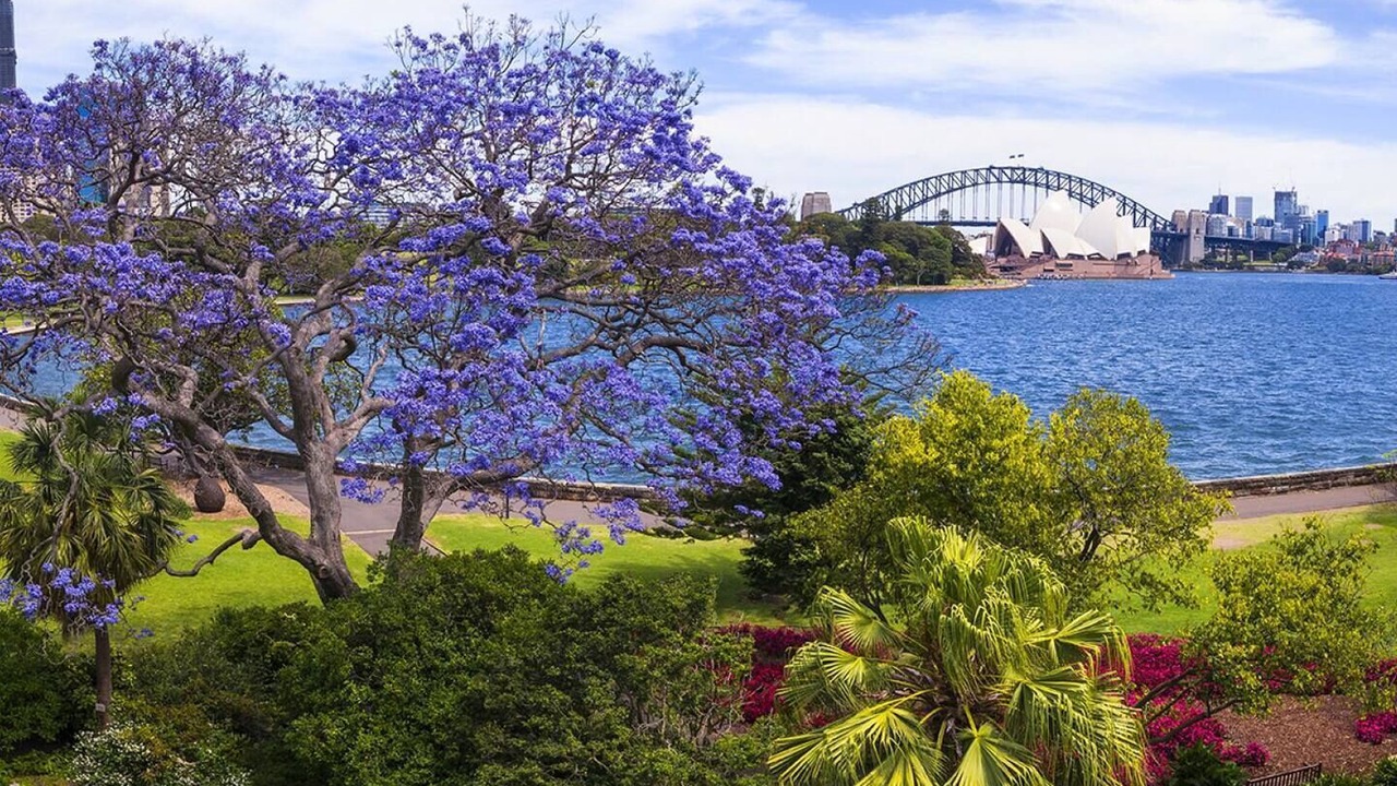 Photo of Others in Potts Point