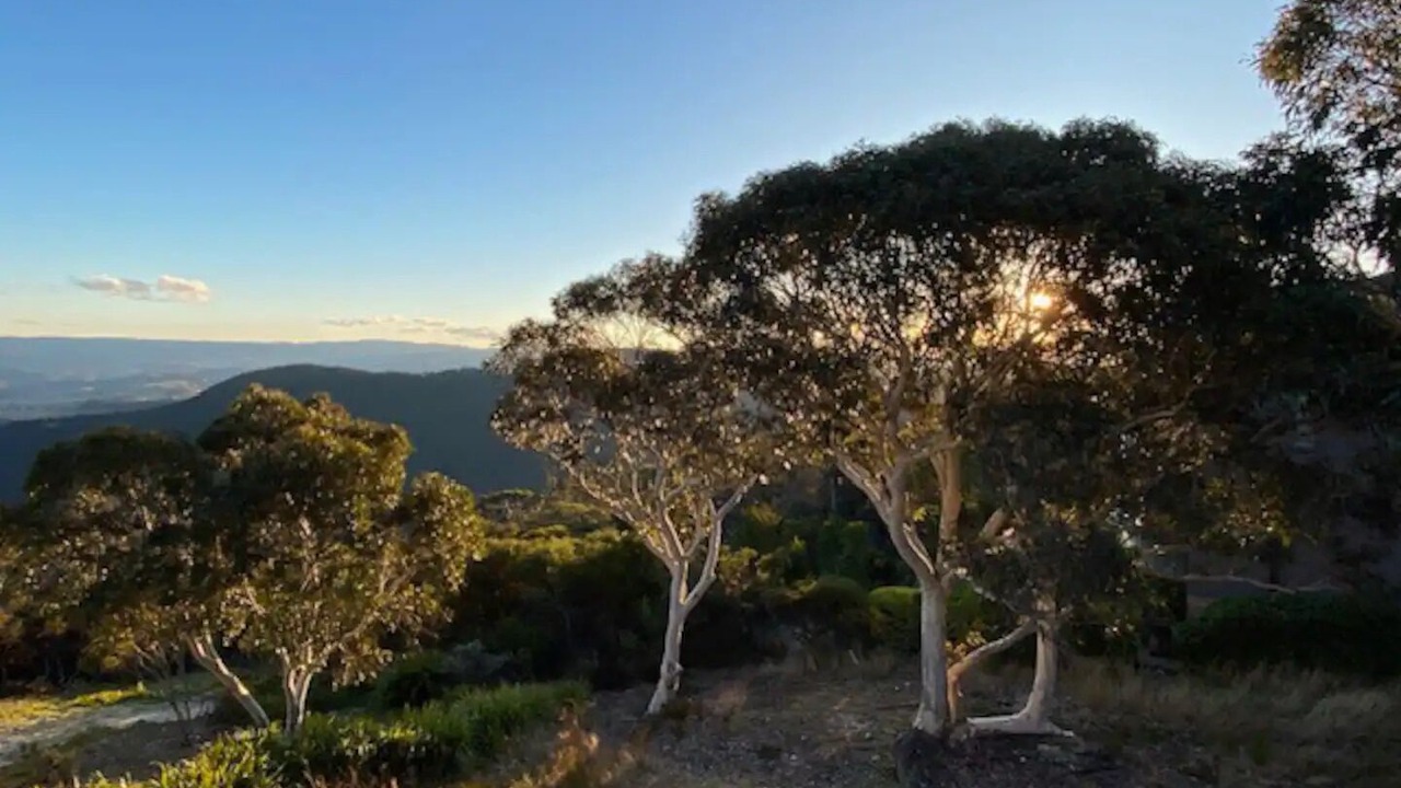 Photo of Others in Mount Victoria