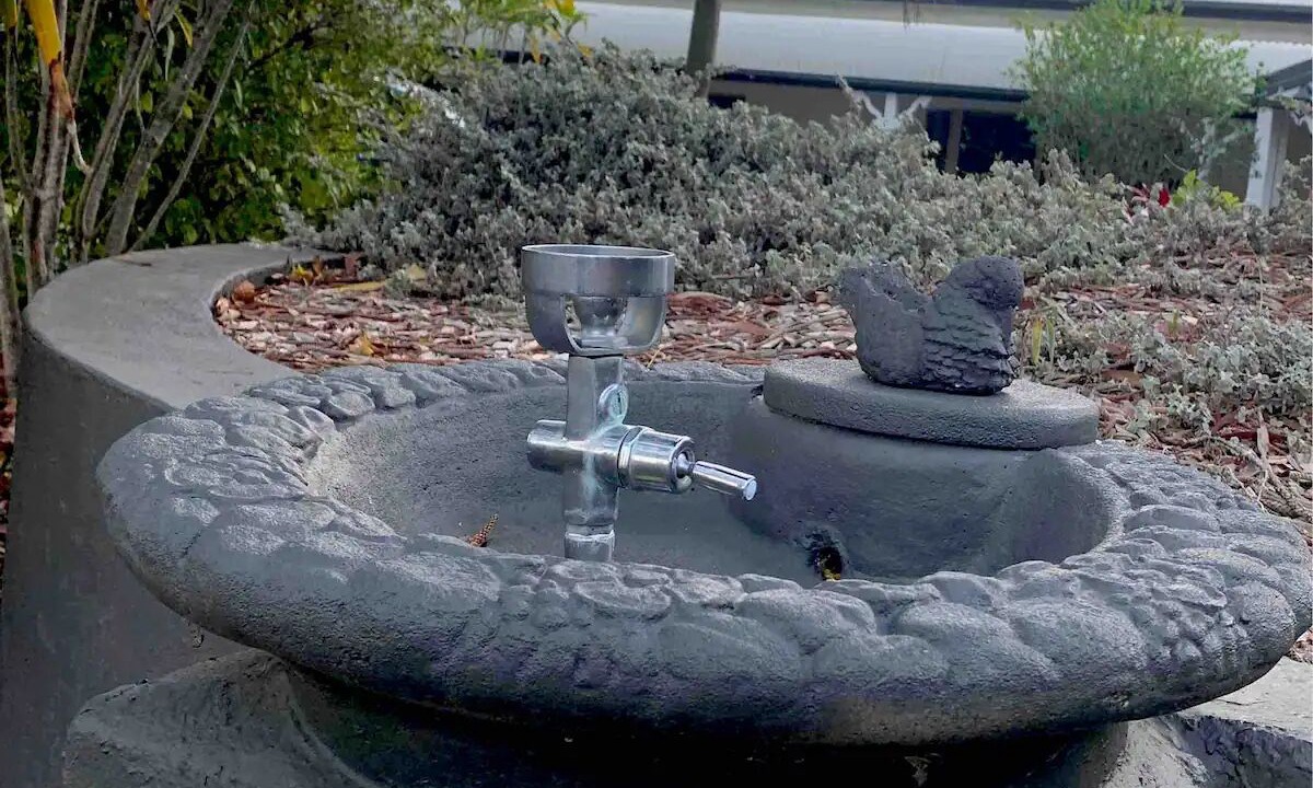 Photo of Outdoor in Carbrook