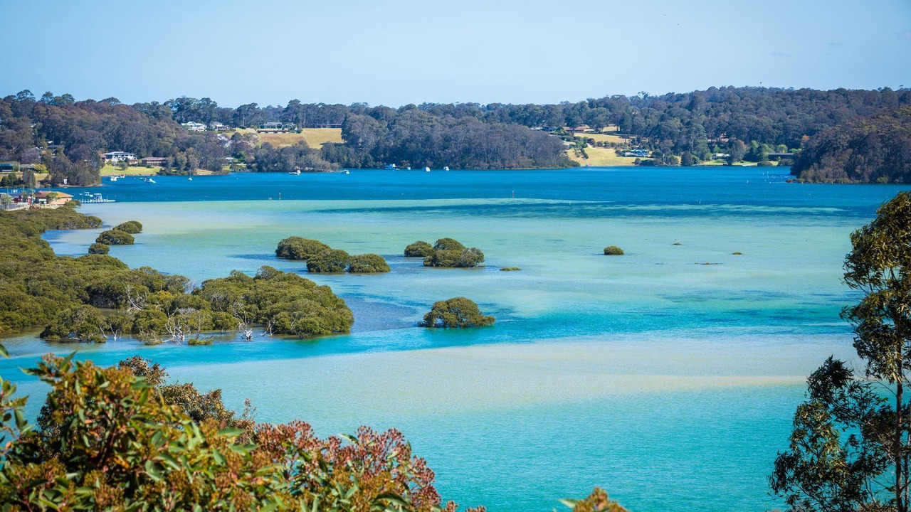 Photo of Others in North Narooma