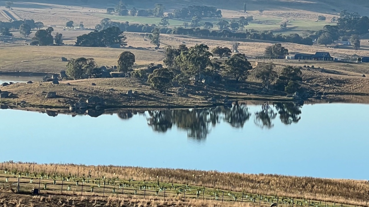 Photo of Others in Oberon