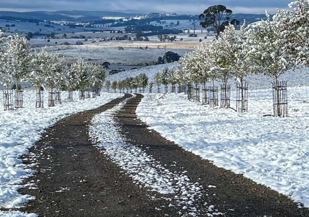 Photo of Others in Oberon