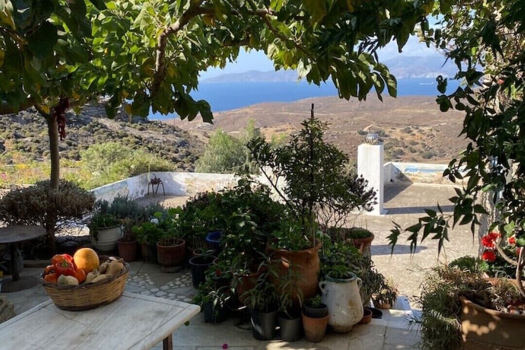 Photo of Others in Andros