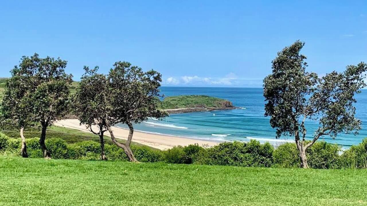 Photo of Others in Shell Cove
