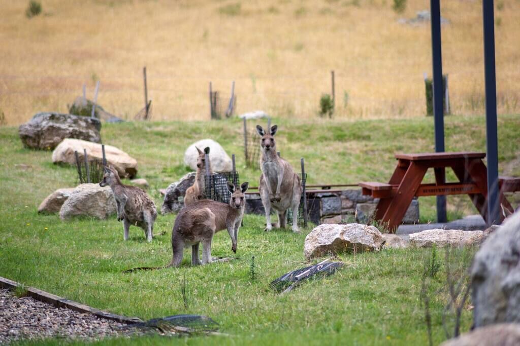 Photo of Others in Lake Crackenback