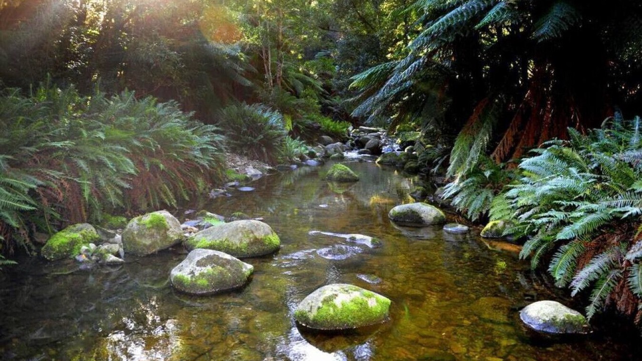 Photo of Outdoor in St Marys