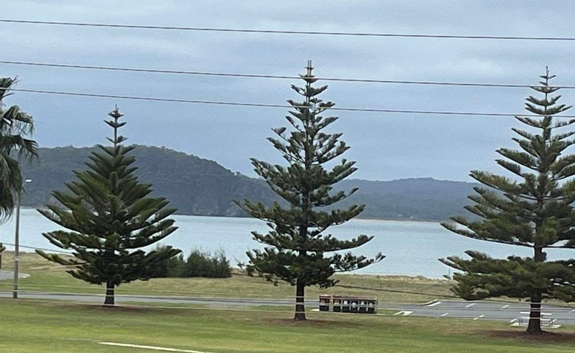 Photo of Others in Batehaven