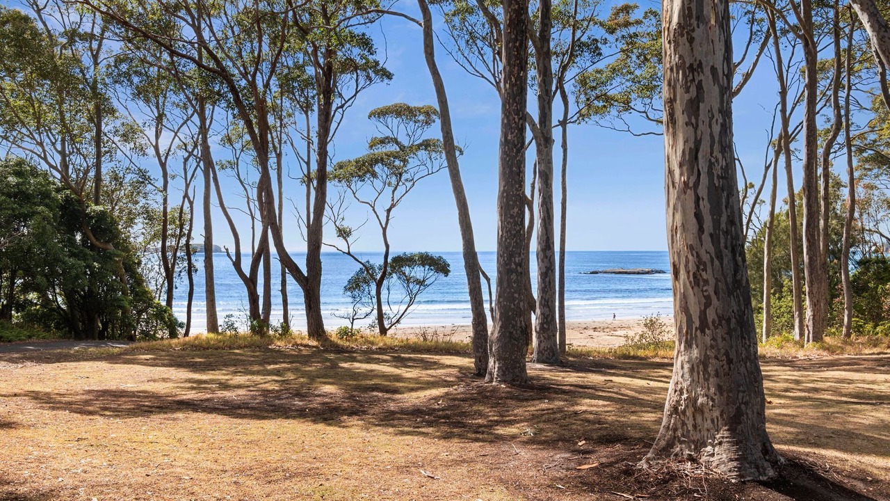 Photo of Others in Denhams Beach