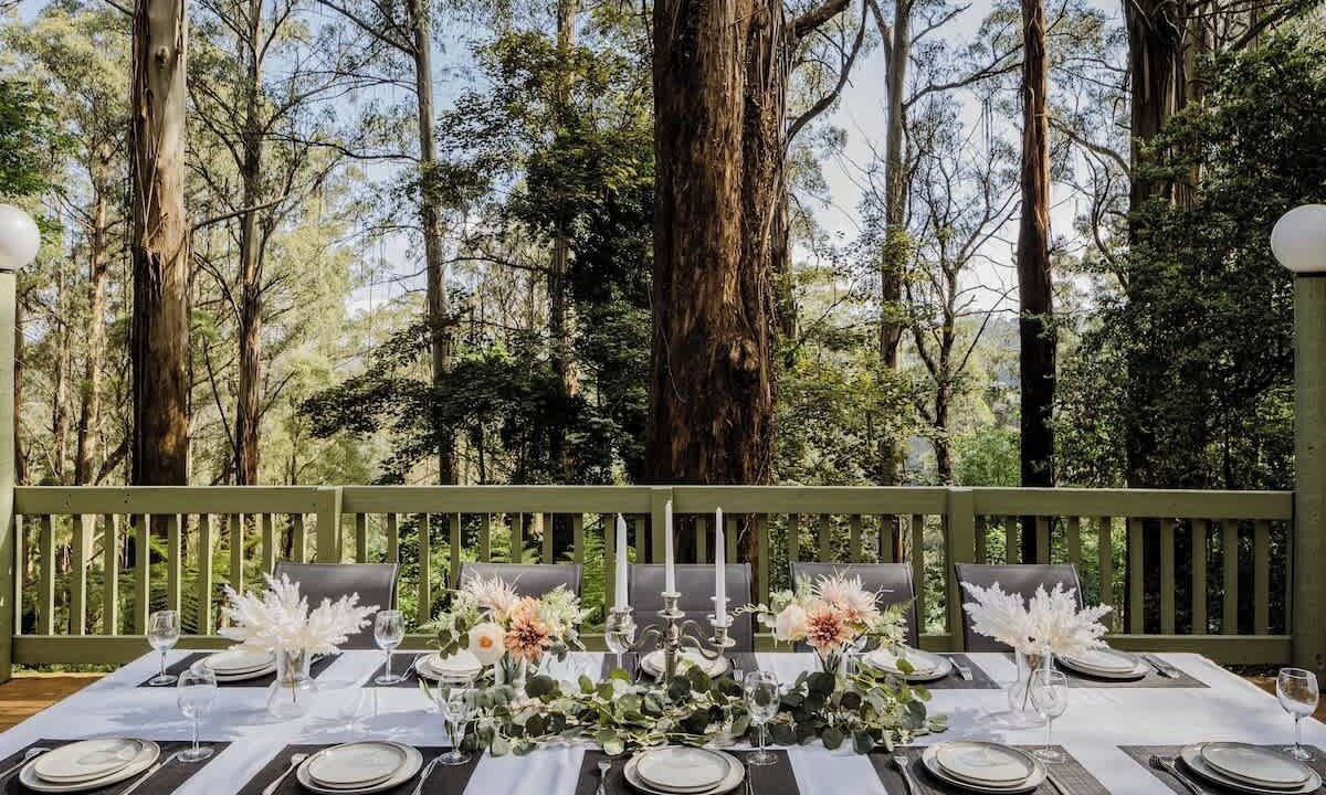 Photo of Outdoor in Sassafras