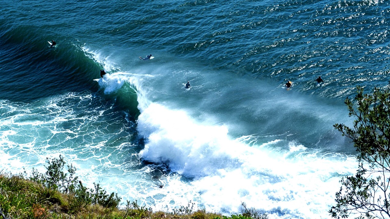 Photo of Others in Macmasters Beach