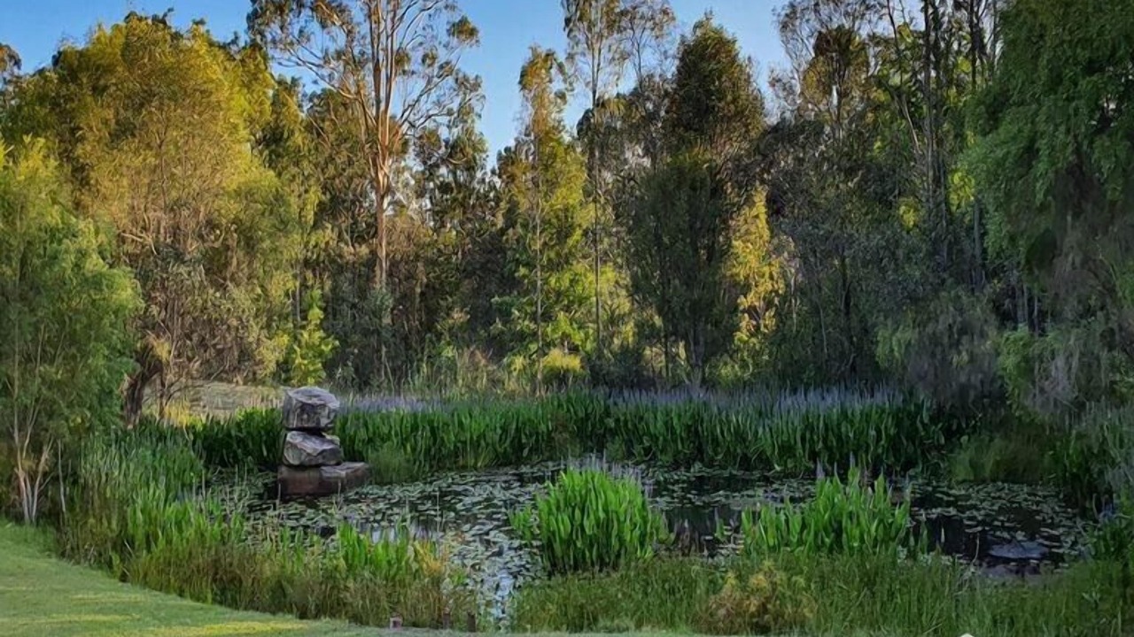 Photo of Outdoor in Rathdowney