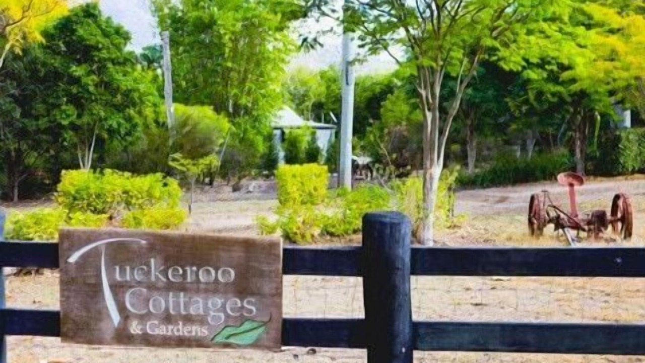 Photo of Outdoor in Rathdowney