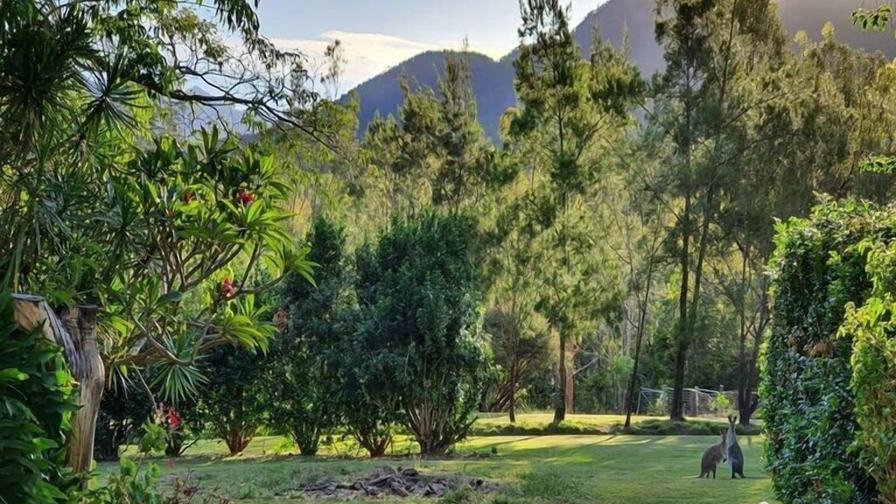 Photo of Outdoor in Rathdowney