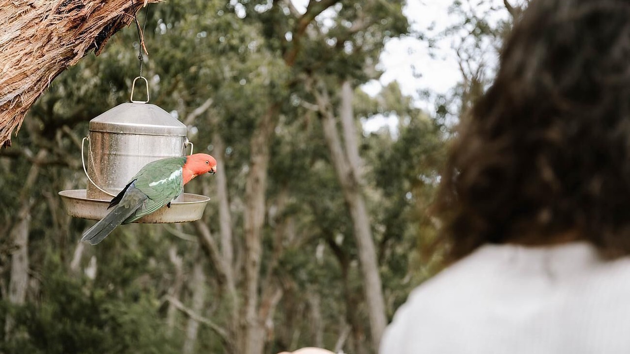 Photo of Others in Hordern Vale