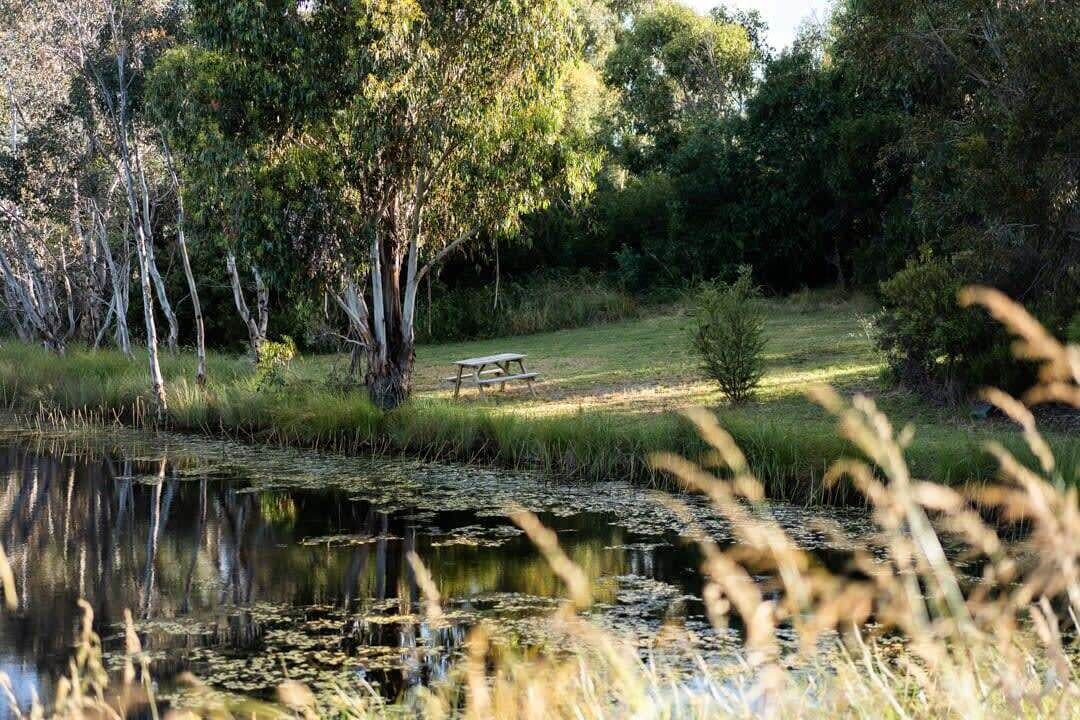 Photo of Others in Dalton