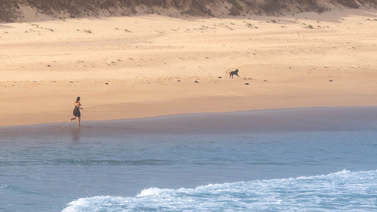 Photo of Others in Burrill Lake