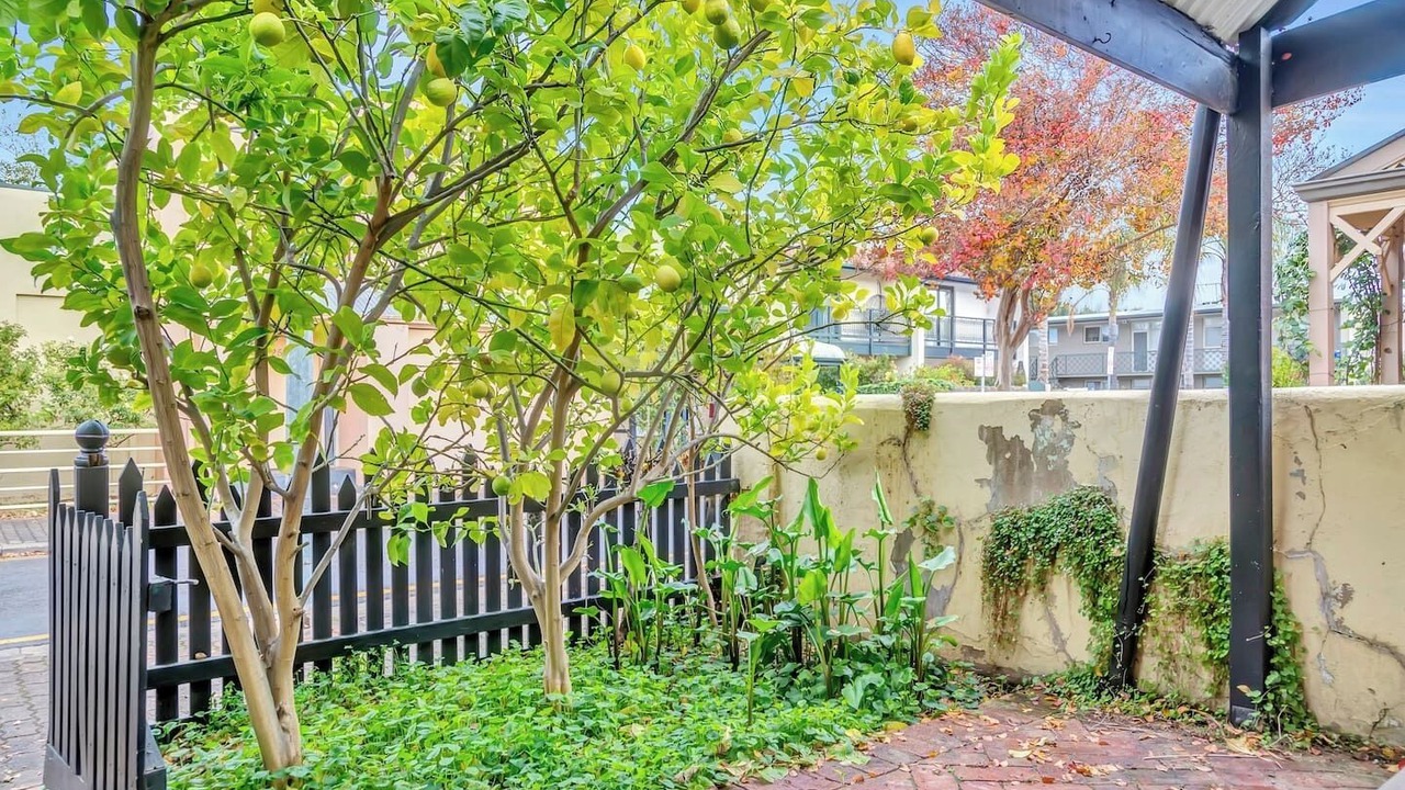 Photo of Outdoor in North Adelaide