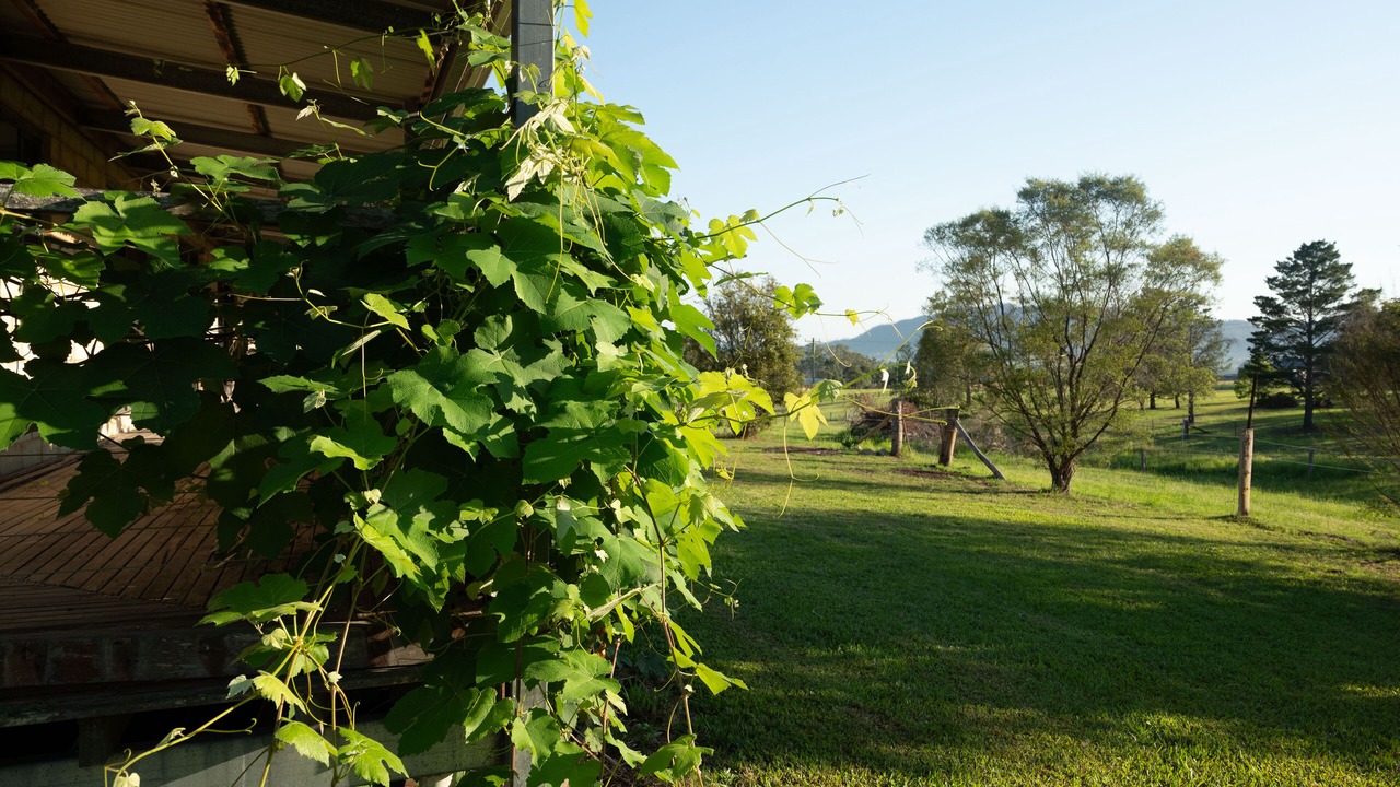 Photo of Outdoor in Forbesdale