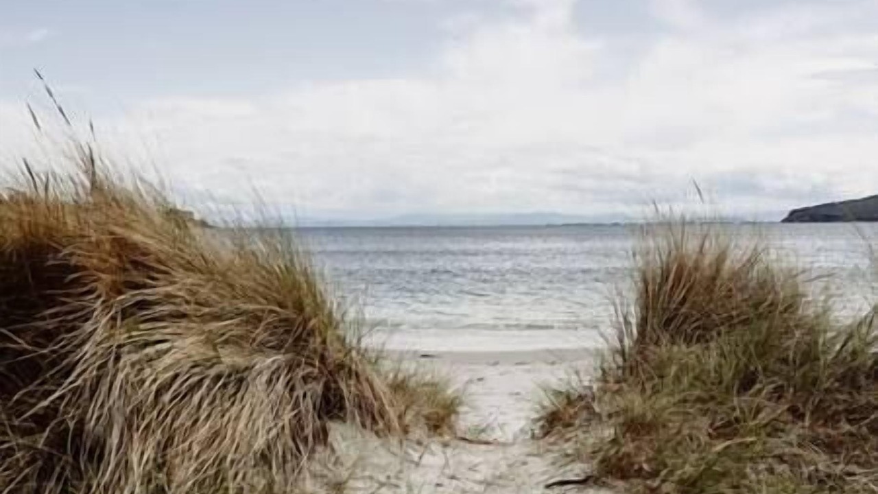 Photo of Outdoor in White Beach
