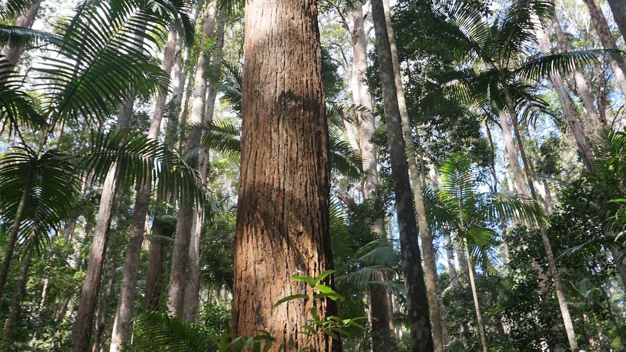 Photo of Others in Kingfisher Bay