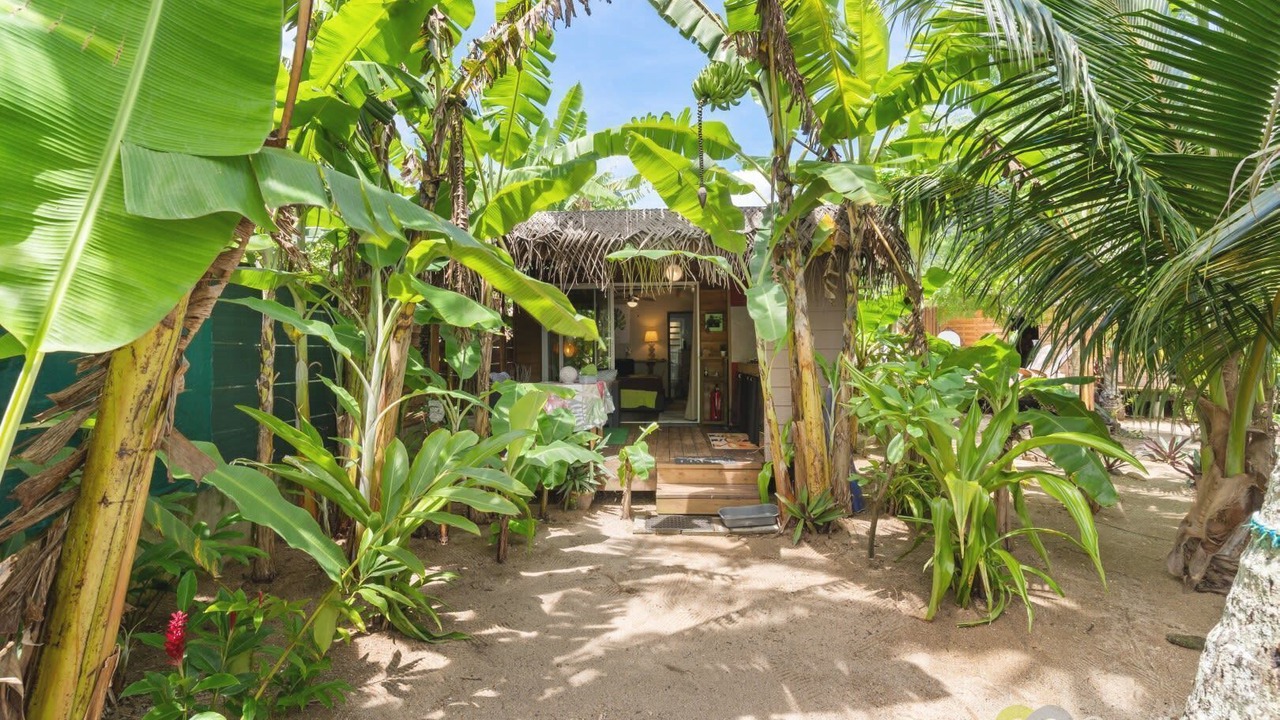 Photo of Outdoor in Moorea-Maiao