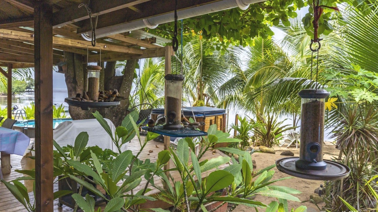 Photo of Outdoor in Moorea-Maiao